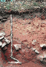 Auf Hintergrundwerte (Schwermetalle)  untersuchtes Bodenprofil  